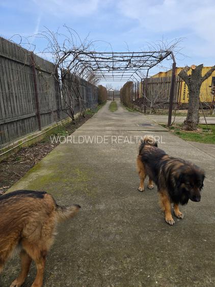 Casa individuala Branesti-Vadul Anei - 8