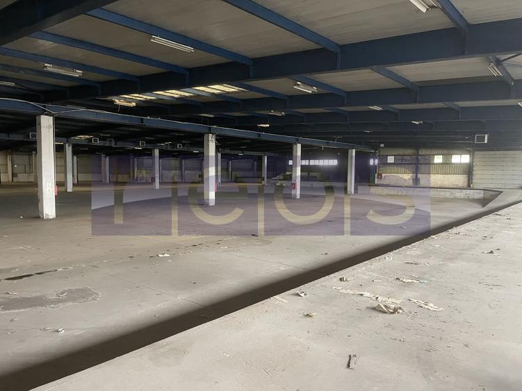 HALA | DEPOZIT - OTOPENI CENTURA  |  20.0000 MP - 22