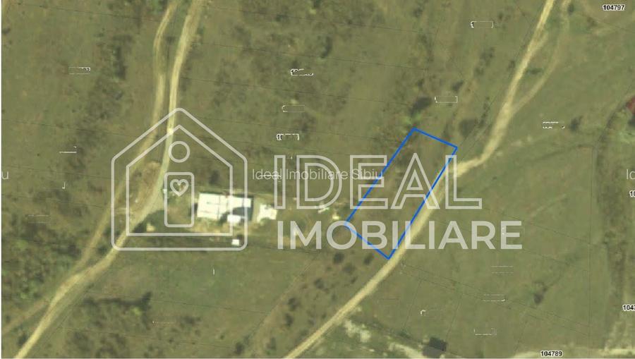 Teren extravilan de vânzare – Cârțișoara | Vedere spre Munții Făgăraș - 4