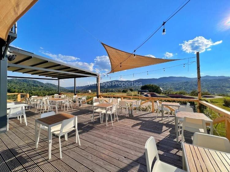 FLANDERS Glamping | Swimming pool | Pump track | Transfagaran | - 5