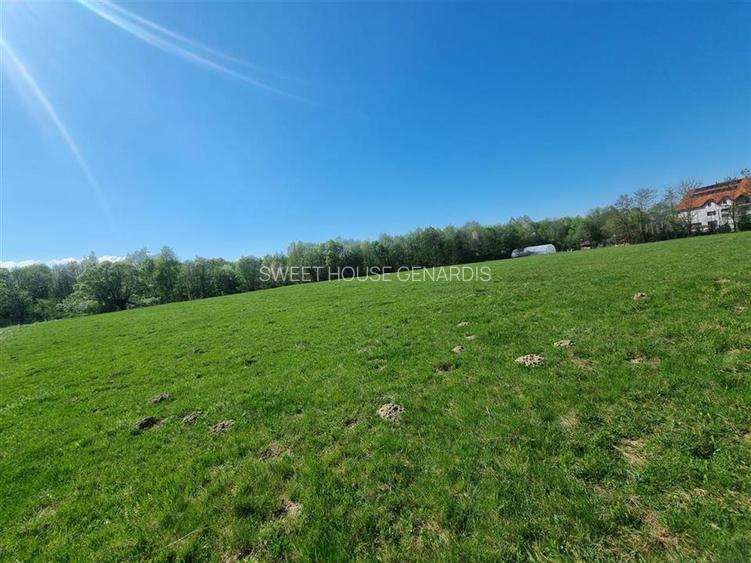 Teren valea Sebesului - 3