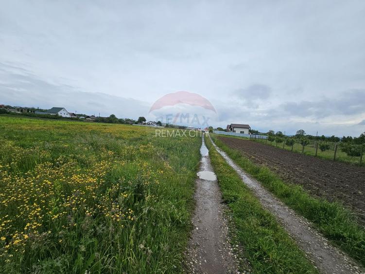 Teren 1,495mp Dobreni / Strada Parau Almas - 3