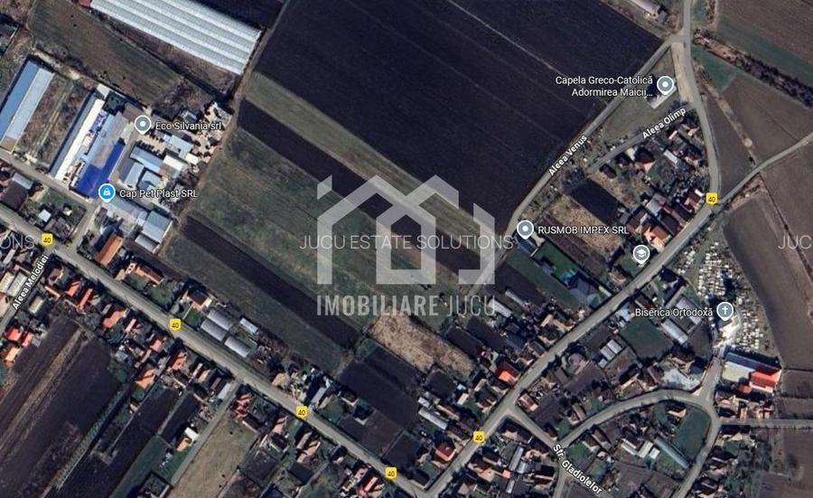 Teren Intravilan 5800mp - PUZ In Lucru - Jucu de Mijloc - 2