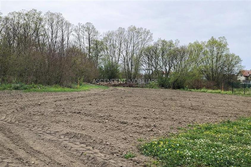 Teren 1.700 mp intravilan, natura, vecinatati bune, potential dublu, Lunca Calni - 3