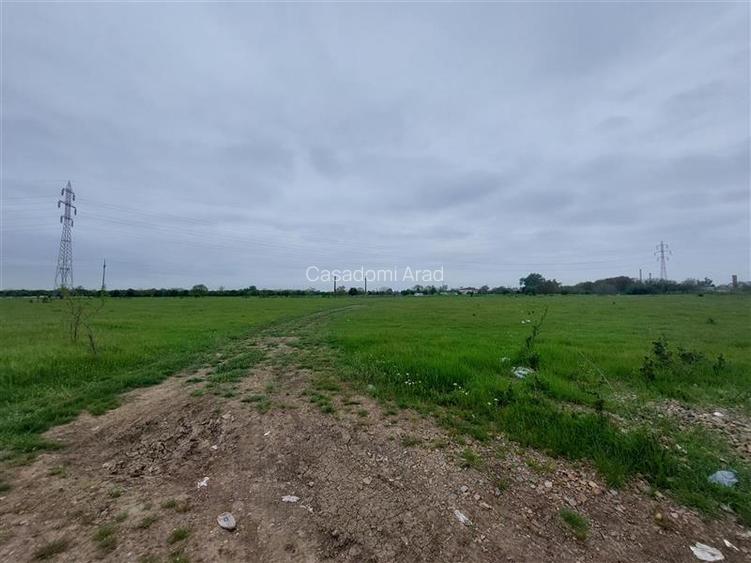Teren intravilan cu potential multiplu! - 9