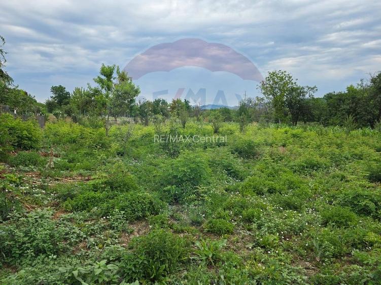 Comision 0! Casa din inima Subcarpaților — comuna Cislau, teren 5000mp - 20