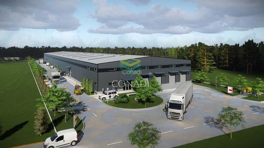 Teren de vanzare cu autorizatie pentru 2 hale - Otopeni - 10.000 mp - 6