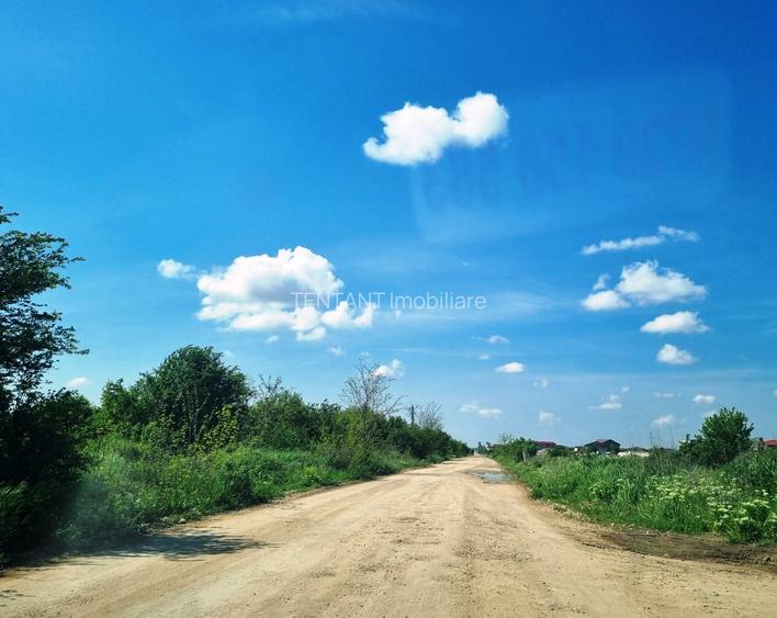 Vanzare Teren construibil 760mp Pantelimon Cernica - 6