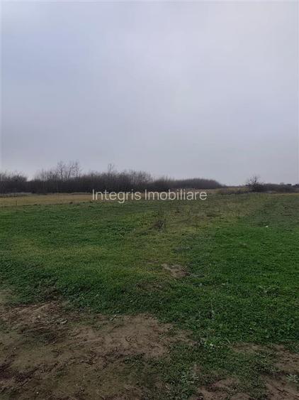 Teren intravilan in Cihei, cu PUZ aprobat, zona Fundatia Mihai Nesu - 4