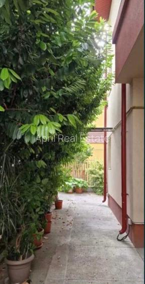 Tineretului, ap. 2 camere, 50mp, parter, curte 10mp, 650Euro/luna - 7