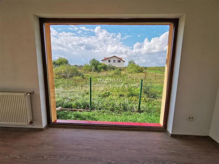 Vila Deosebita Rudicica - 19