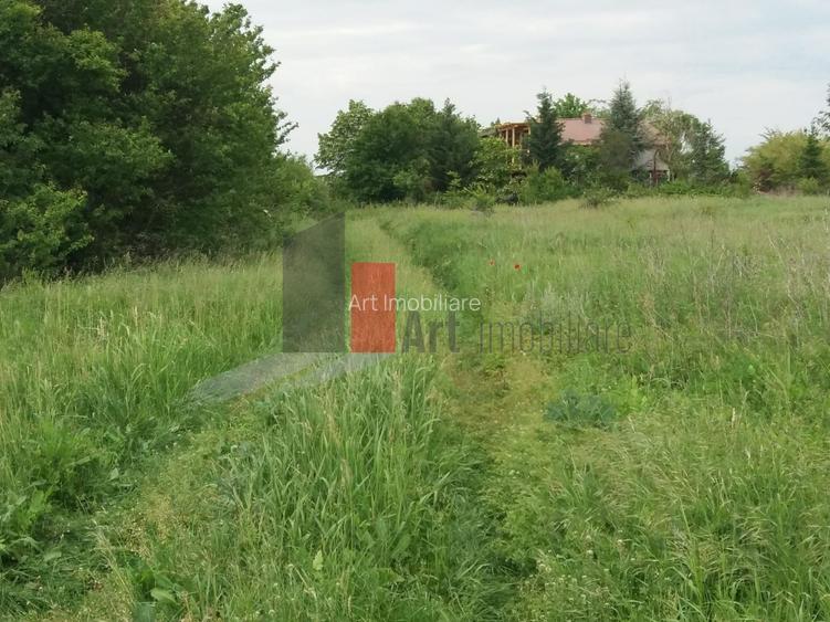 Teren Buftea cu iesire la lac - 23