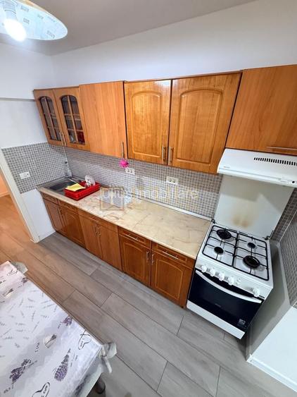 2 camere| zona Titulescu-Nokia| vis a vis de malul Bega| Pet Friendly| - 17