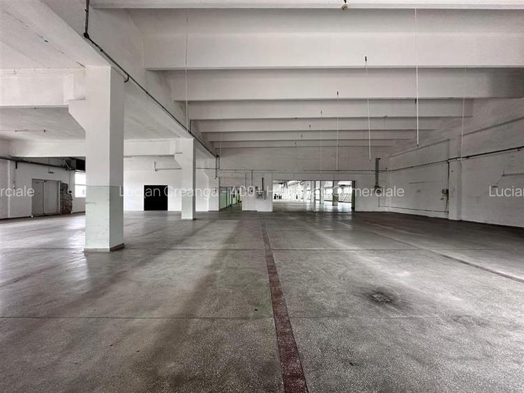 Hala/ spatiu comercial Pascani, 1500mp - 17