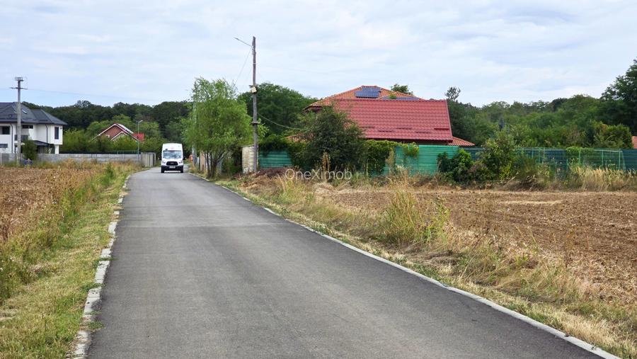 The Forest Collection - lot 500 mp | Padurea Snagov - Ciofliceni - COMISION 0% - 9