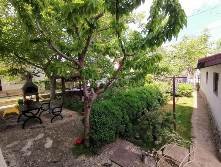 Constanta, Lazu, vila 5 camere, p+1, 360mp cu gradina deosebita - 4