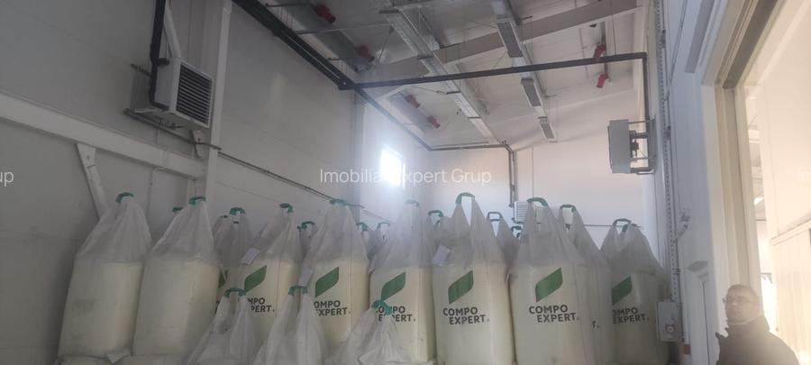 Hala zona de nord Buftea - 6