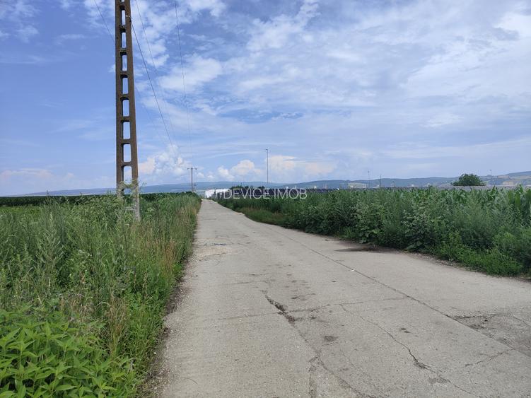 Teren industrial Bod -Drum Betonat -Utilitati - 5