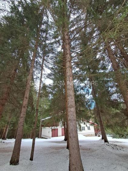 Casă de vacanță spațioasă în Călățele Pădure – Dealul Negru, teren 2000 mp - 7