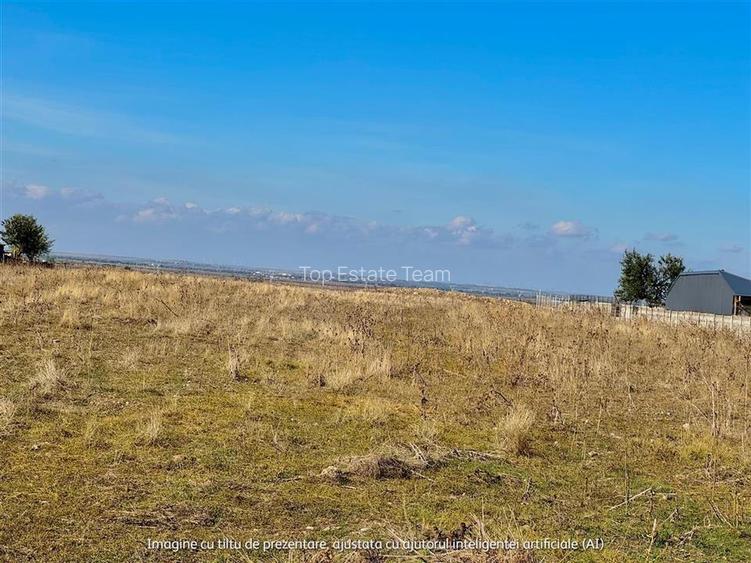 Teren  industrial de vanzare pentru hale in Braila / aproape de Drumul Express / - 5