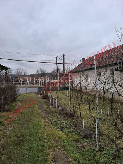 🏡 Casă de vânzare în Mitrești - 4