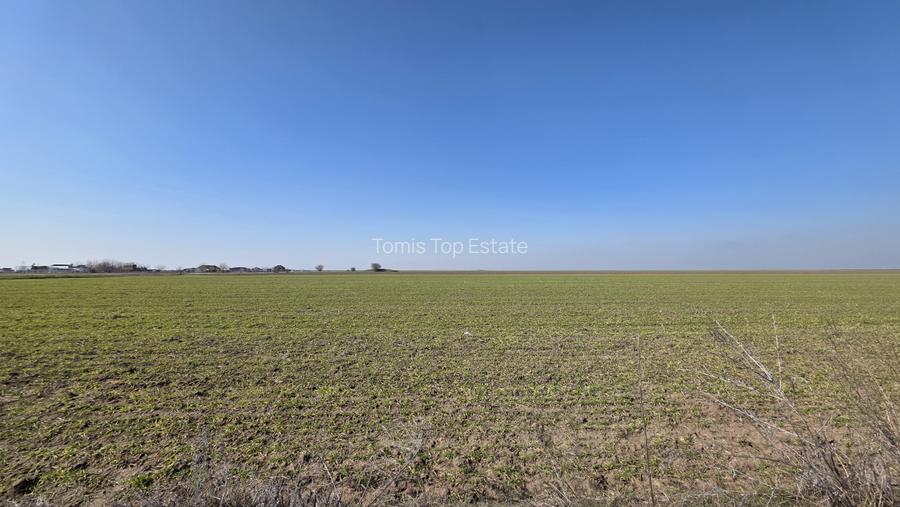 Teren intravilan 500 mp in Corbu, ideal pentru investitie - 4