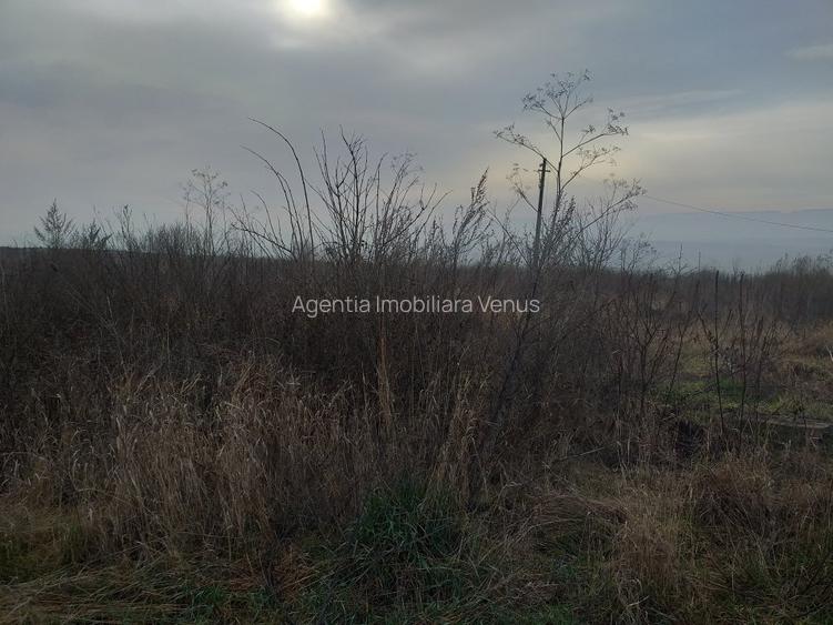 Loc de casa in Catamarasti Deal zona RAR - 2