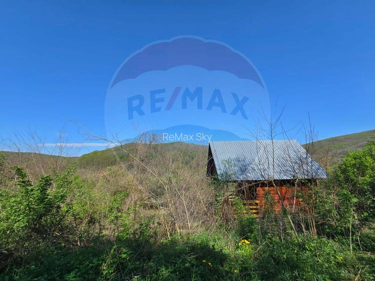 Teren de vis în Stejeriș – utilități, natură, acces rapid! - 8