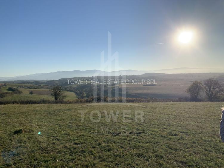 Teren pentru constructie cabana in Dealul Daii-parcele de 650 mp - 5