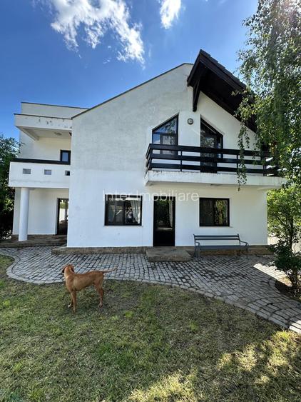 Vila Bucium cod 158289 - 6