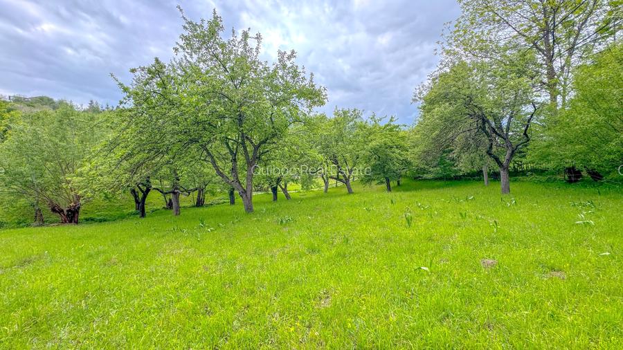 Teren 1500mp, intravilan cu utilitati, in proximitatea complexului Vila Bran - 3