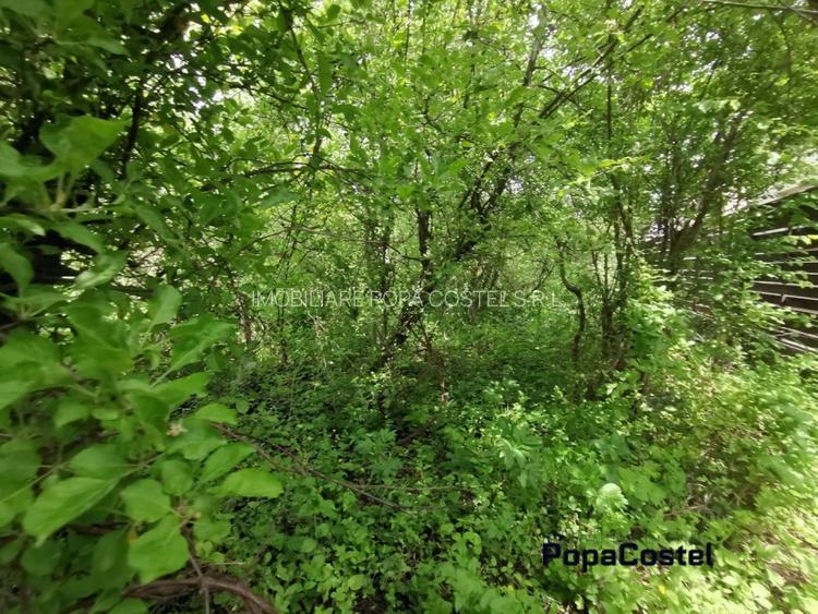 Otopeni Oituz teren 1000 mp deschidere 14 ml utilitati langa teren - 3