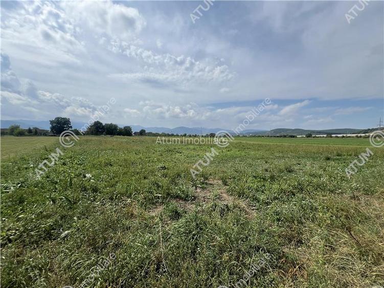 Teren intravilan de 8600 mp cu deschidere la doua drumuri in Cristian - 2