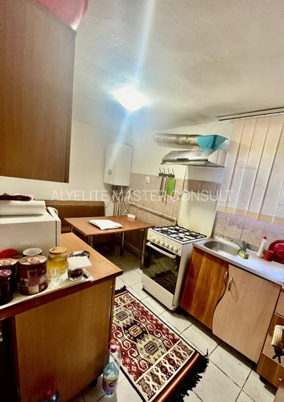 CASA MOARA GRECILOR,VASLUI - 7