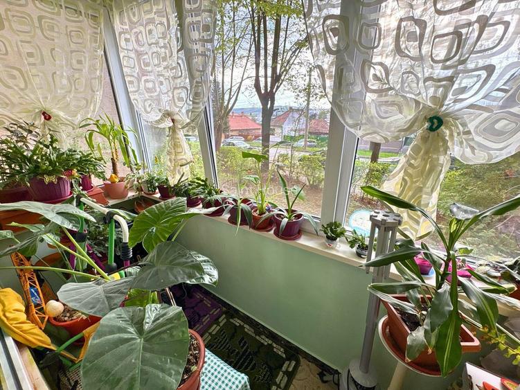 Apartament 3 camere decomandat ( balcon si două pivnițe) - 6