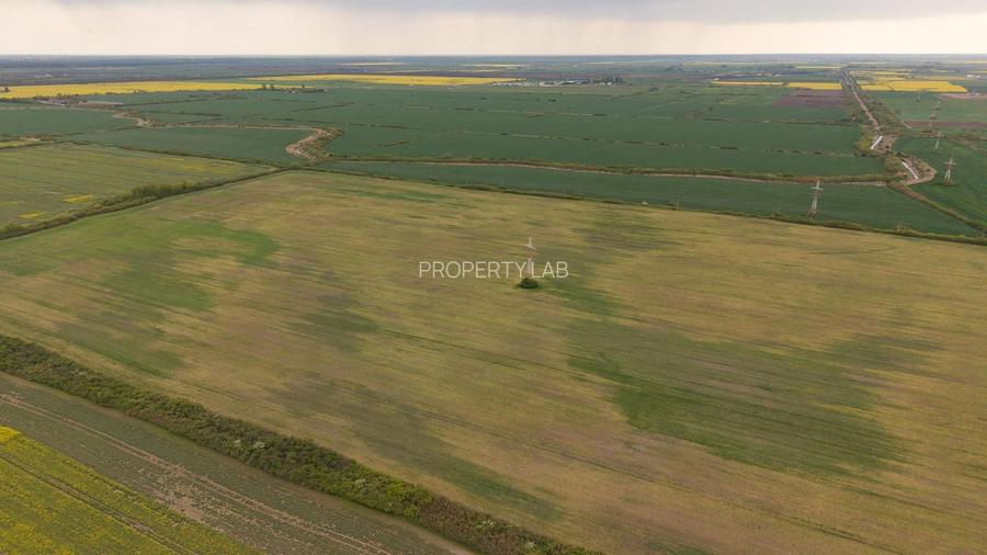Teren investițional strategic 44.700 mp Arad Vest - 3