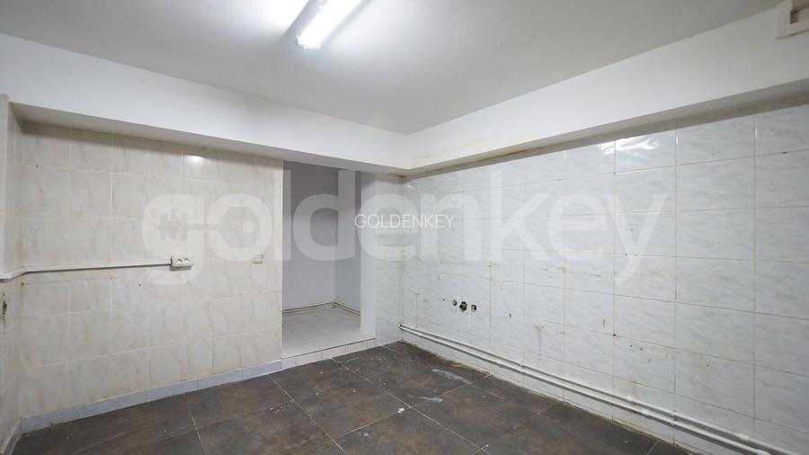 Vila D+P+1+M | 10 camere, 555mpc |  Parc Verdi - Lac Floreasca - 18