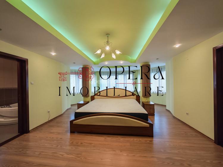 Vila individuala deosebita, de vanzare, zona Popas Pacurari - 5