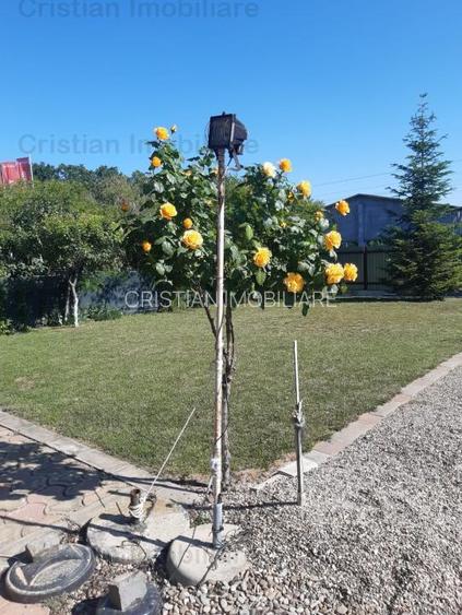 Vila P+M 2014, Varsatura 160mp construiti, teren=1000mp - 14