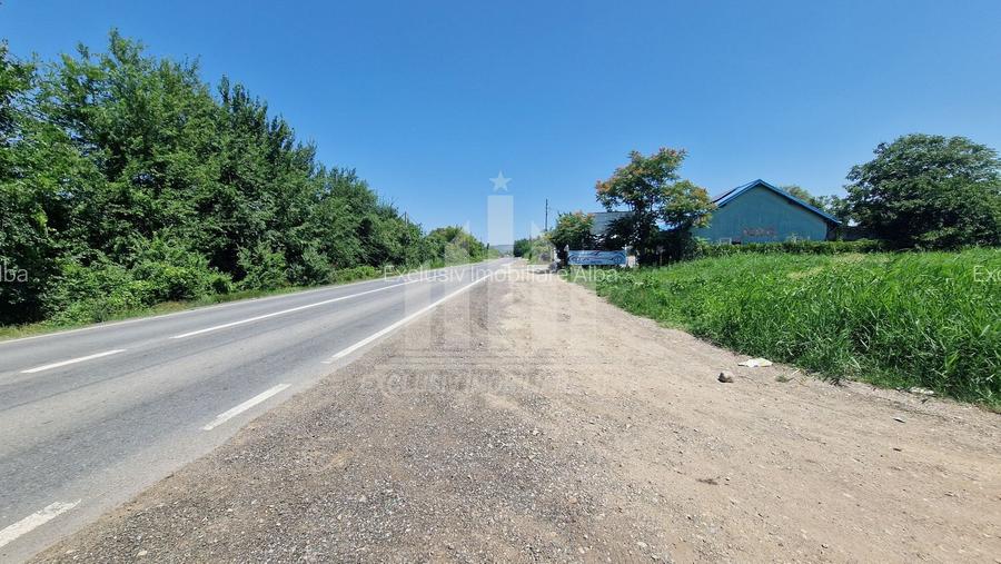 Teren intravilan | 17300 mp | 20 de parcele | Soseaua de Centura - 5