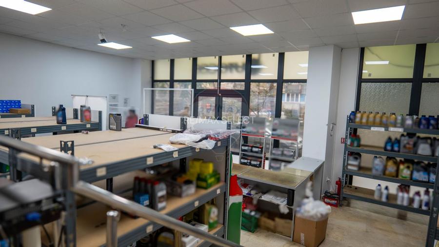 INVESTITIE - Vanzare vilă spatioasa cu S+P+2E+M, zona Doamna Ghica - 43