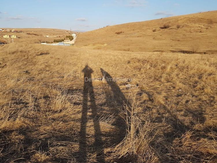 Teren intravilan 33000 mp, Piatra Neamt - 4