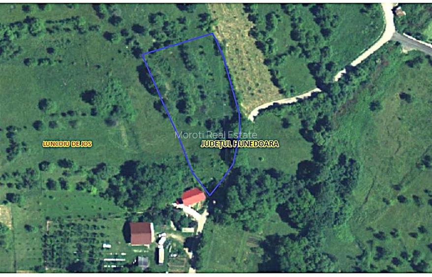 Teren intravilan Luncoiu de Sus - 2