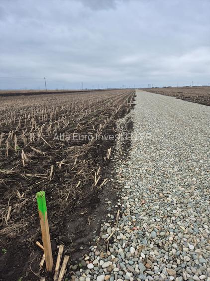 Teren intravilan 647mp in municipiul Brasov - 2