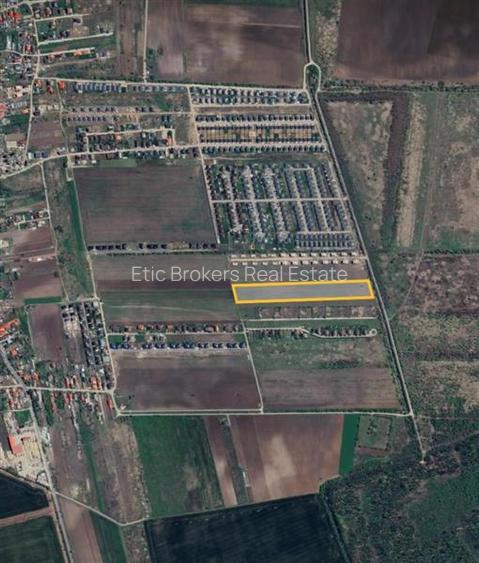 Vanzare teren 19280 mp, Corbeanca, Tamasi, deschidere 53ml - 3