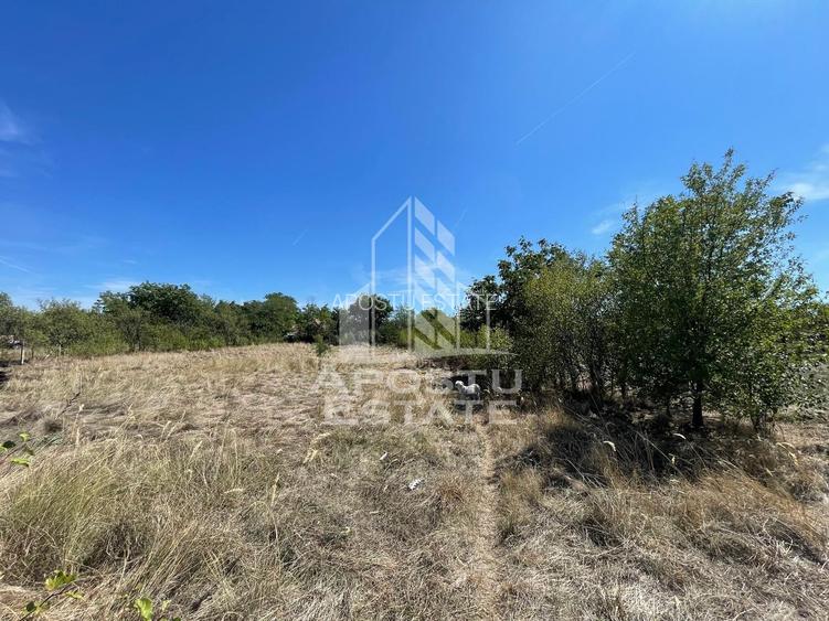 Teren 1680 mp, de vanzare, Seceani, 26 Km de Timisoara, COMISION 0%. - 3