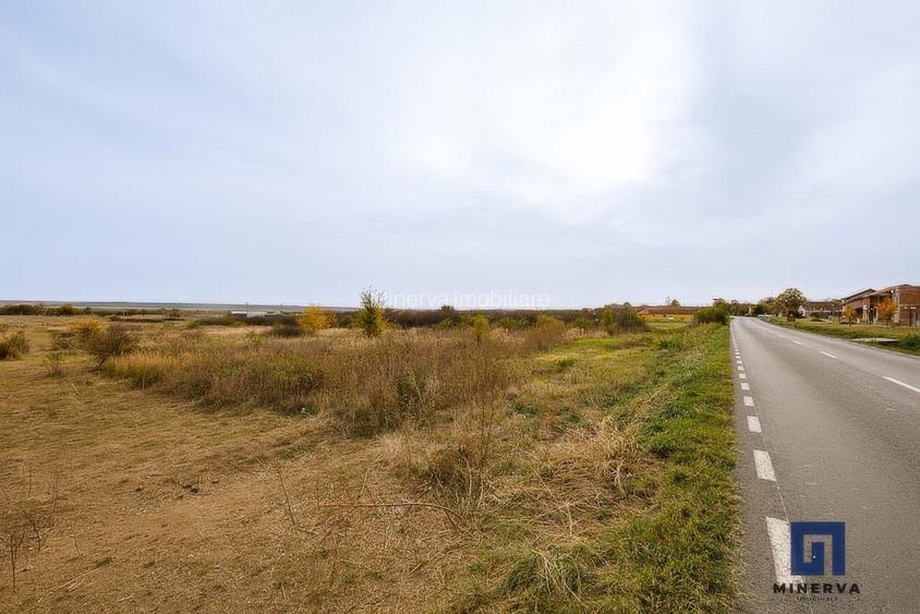 Teren ideal ca investitie, 19000 mp, in Pischia pe DJ691, comision 0 - 4