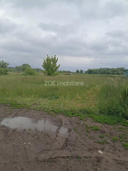 De vânzare teren intravilan construibil în Sfântu Gheorghe - 9