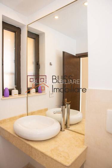 Casă / Vilă 8 camere în zona Iancu Nicolae - 10