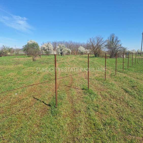 Dragomiresti- Vale, str Nucilor, teren intravilan 2.262mp. - 4